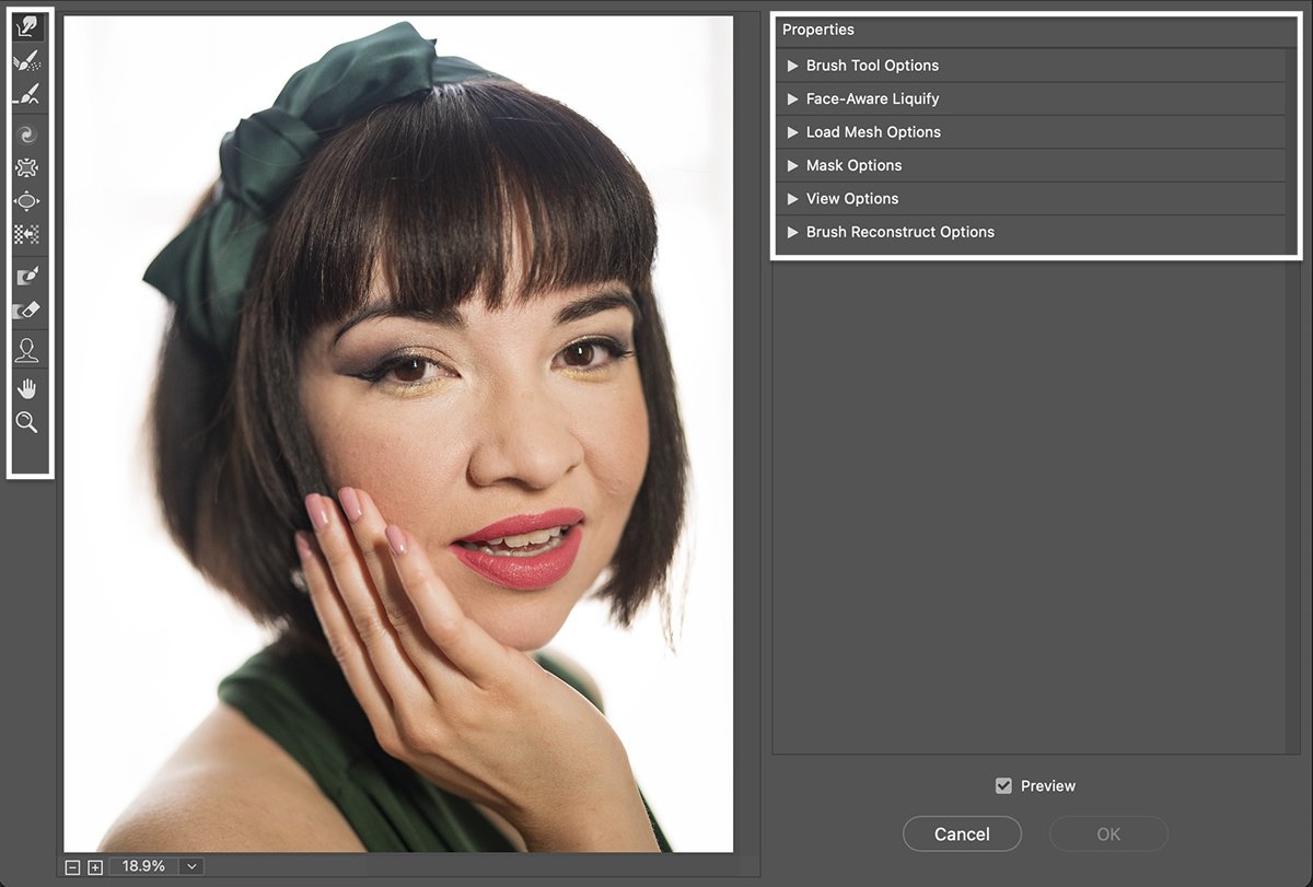 Скриншот панели свойств с женским портретом для инструмента Liquify в Photoshop 
