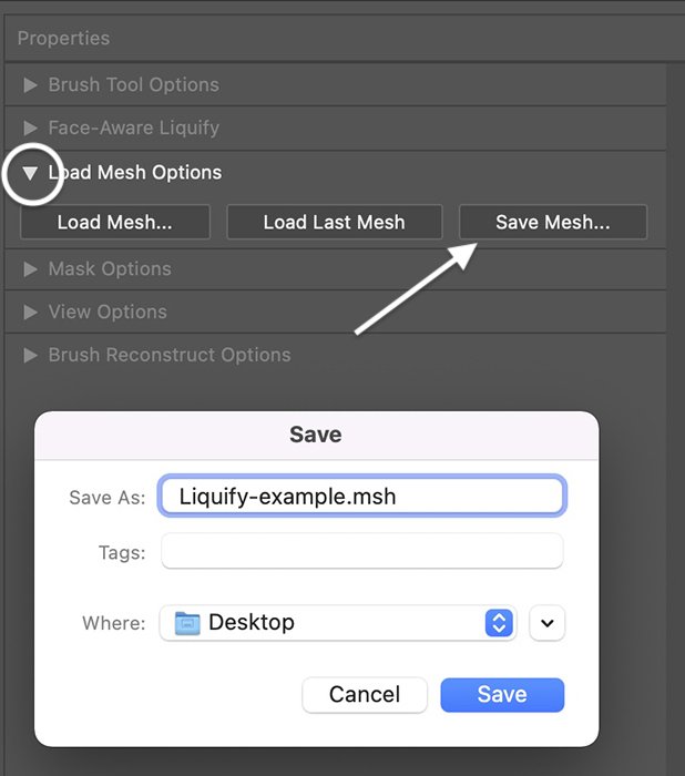 Скриншот панели опции load mesh для сохранения настроек Liquify Photoshop