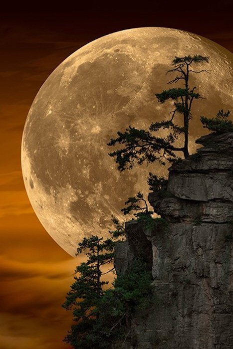 фото большой луны за скалой с деревьями