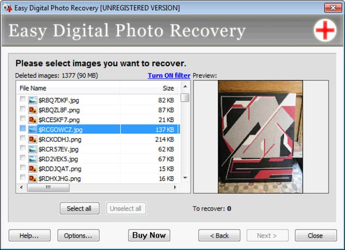 Скриншот интерфейса программы Easy Digital Photo Recovery
